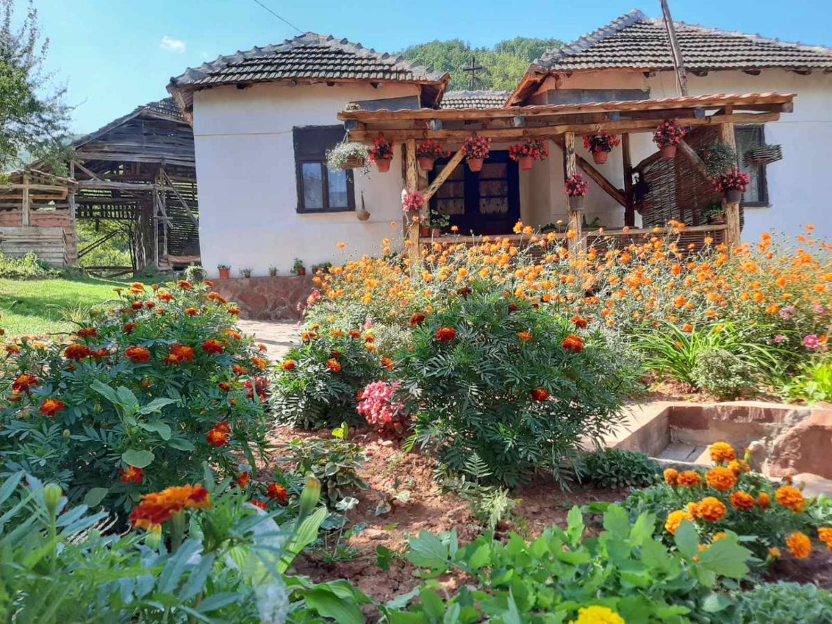 Seosko Domacinstvo „Gabar” Custica Exterior foto