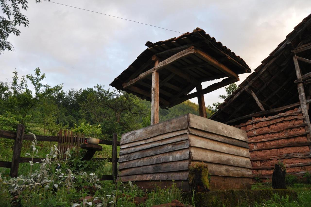 Seosko Domacinstvo „Gabar” Custica Exterior foto