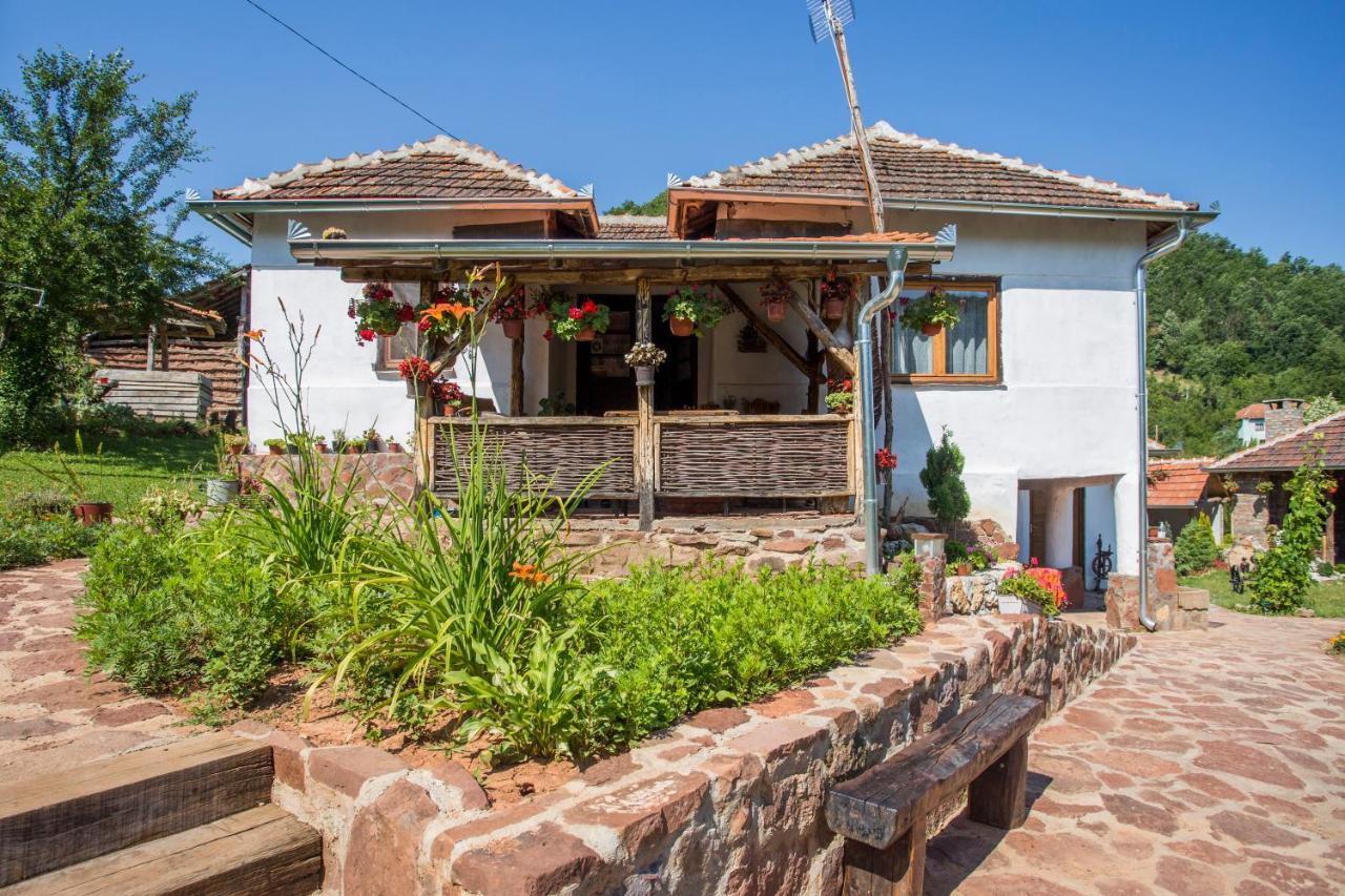 Seosko Domacinstvo „Gabar” Custica Exterior foto