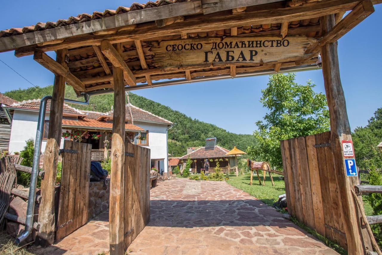 Seosko Domacinstvo „Gabar” Custica Exterior foto