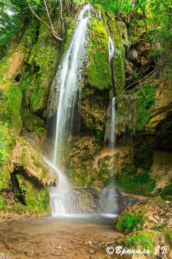 Seosko Domacinstvo „Gabar” Custica Exterior foto